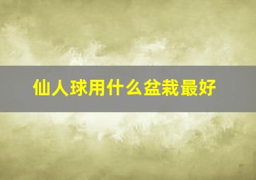 仙人球用什么盆栽最好