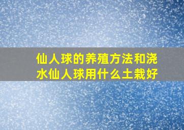 仙人球的养殖方法和浇水仙人球用什么土栽好