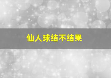 仙人球结不结果