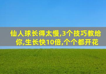 仙人球长得太慢,3个技巧教给你,生长快10倍,个个都开花