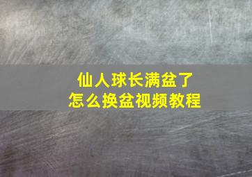 仙人球长满盆了怎么换盆视频教程