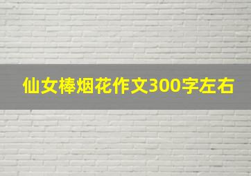 仙女棒烟花作文300字左右