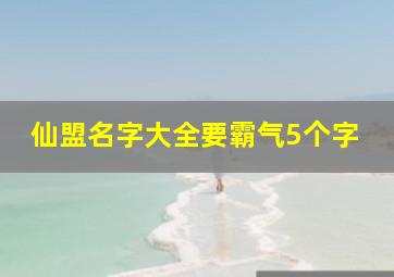 仙盟名字大全要霸气5个字