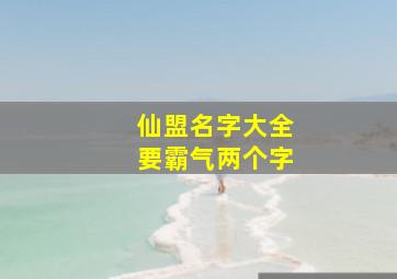 仙盟名字大全要霸气两个字