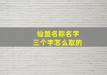 仙盟名称名字三个字怎么取的