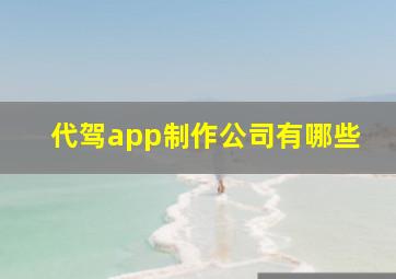 代驾app制作公司有哪些