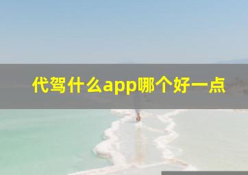 代驾什么app哪个好一点