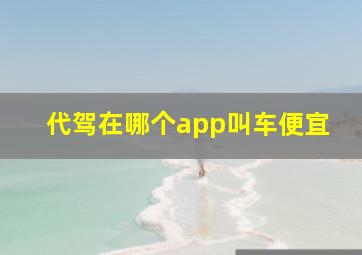 代驾在哪个app叫车便宜