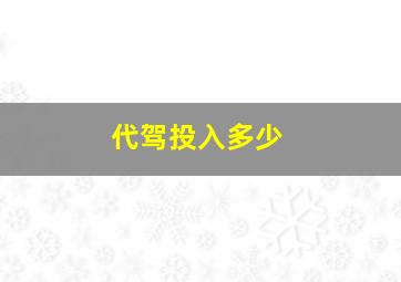 代驾投入多少