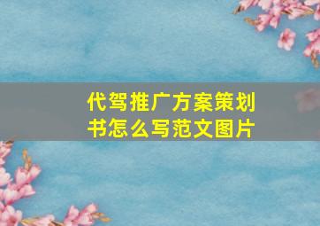 代驾推广方案策划书怎么写范文图片