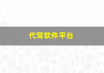 代驾软件平台