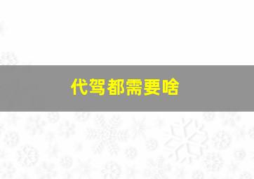 代驾都需要啥