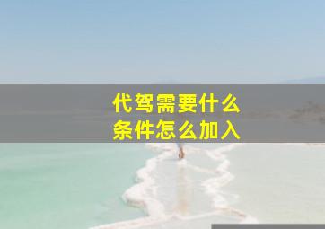 代驾需要什么条件怎么加入