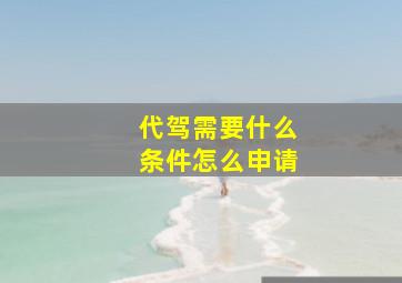 代驾需要什么条件怎么申请