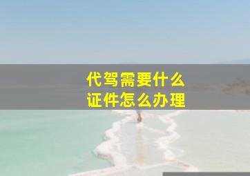 代驾需要什么证件怎么办理