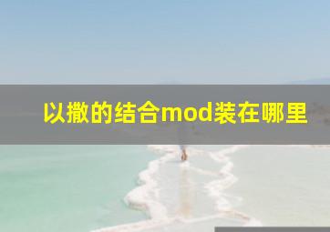 以撒的结合mod装在哪里