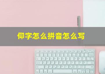 仰字怎么拼音怎么写