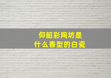 仰韶彩陶坊是什么香型的白瓷