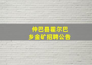 仲巴县霍尔巴乡金矿招聘公告