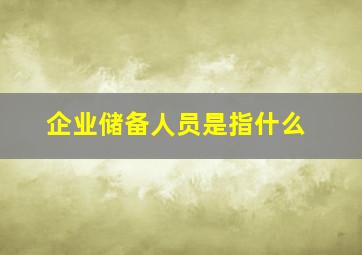 企业储备人员是指什么