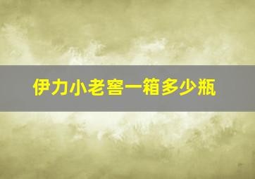 伊力小老窖一箱多少瓶