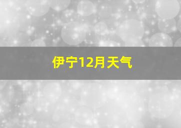 伊宁12月天气