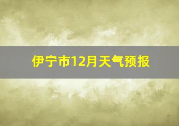 伊宁市12月天气预报