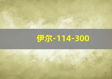 伊尔-114-300