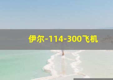 伊尔-114-300飞机