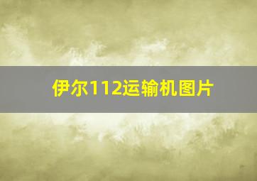 伊尔112运输机图片