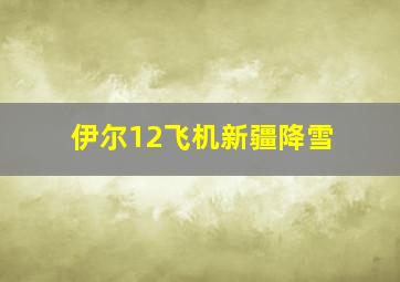 伊尔12飞机新疆降雪