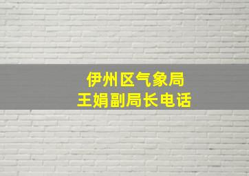 伊州区气象局王娟副局长电话