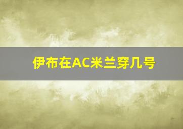 伊布在AC米兰穿几号