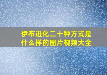 伊布进化二十种方式是什么样的图片视频大全