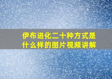 伊布进化二十种方式是什么样的图片视频讲解