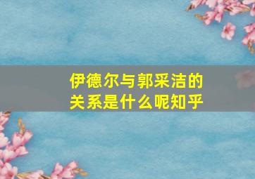 伊德尔与郭采洁的关系是什么呢知乎