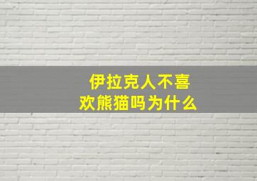 伊拉克人不喜欢熊猫吗为什么