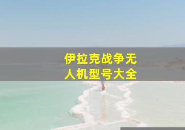 伊拉克战争无人机型号大全