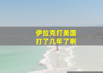 伊拉克打美国打了几年了啊