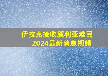 伊拉克接收叙利亚难民2024最新消息视频