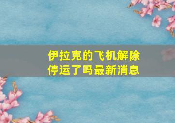 伊拉克的飞机解除停运了吗最新消息