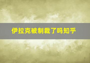 伊拉克被制裁了吗知乎