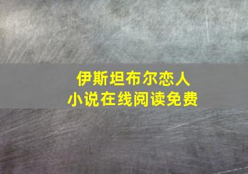 伊斯坦布尔恋人小说在线阅读免费