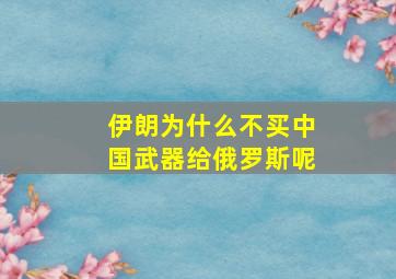 伊朗为什么不买中国武器给俄罗斯呢