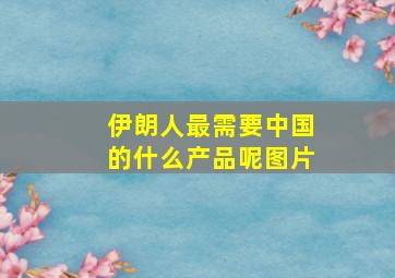 伊朗人最需要中国的什么产品呢图片