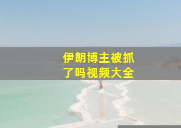 伊朗博主被抓了吗视频大全