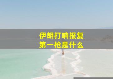 伊朗打响报复第一枪是什么