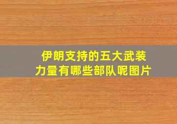 伊朗支持的五大武装力量有哪些部队呢图片