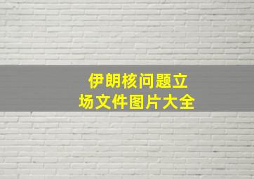 伊朗核问题立场文件图片大全