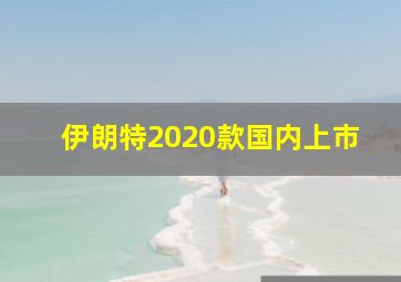 伊朗特2020款国内上市